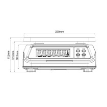 Svarstyklės LSW tik svorį rodančios Lila scale iki 30kg